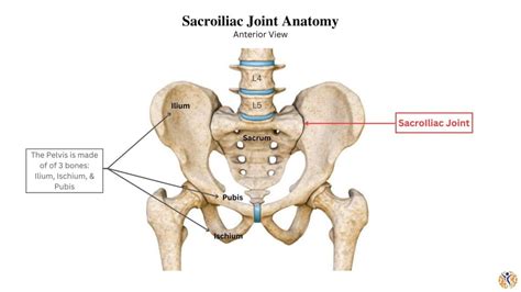 Sacroiliac (SI) Joint Osteoarthritis - Ilyas Munshi, M.D.