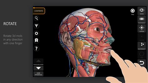 3d human anatomy atlas - vivadelta