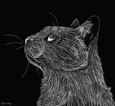 Scratchboard Art Animals / Attitude by EeyoresDarkSide.deviantart.com on @deviantART ...