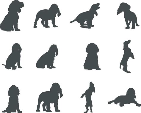 Cocker Spaniel dog silhouettes, Cocker spaniel silhouette, Cocker spaniel animal svg, Cocker ...