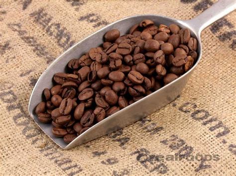 Brazilian Coffee Beans from Real Foods Buy Bulk Wholesale Online