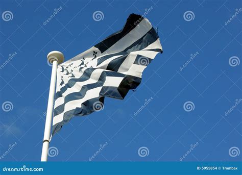 Brittany flag stock photo. Image of europe, independence - 5955854