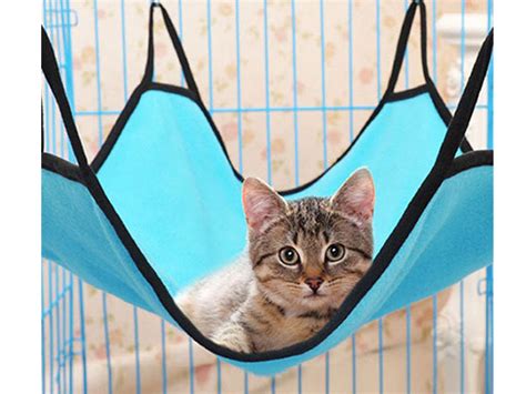 Best Cat Hammocks For Cute Kitties - Reviews And Tips For Choosing