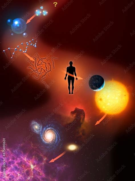 Scale of the Universe Stock Illustration | Adobe Stock