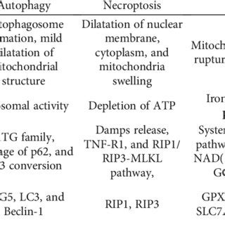 The features of different kinds of cell death pathways. | Download ...