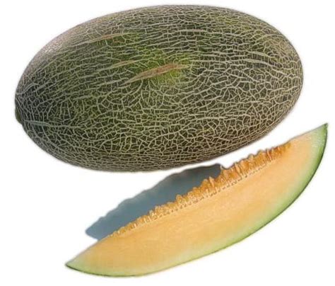 Hami melon - better than cantaloupe | Melon, Farm gardens, Fruit