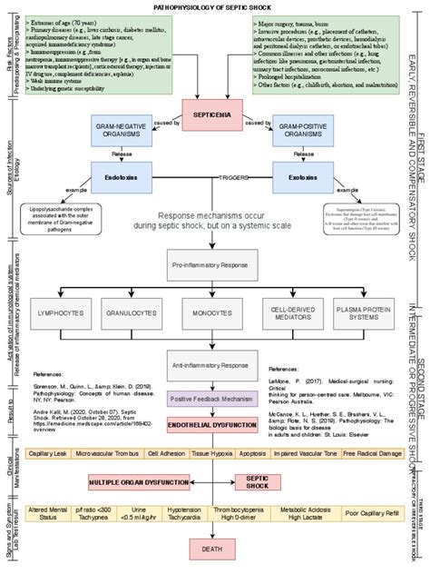 Pathophysiology of Septic Shock Draft 1 | PDF | Sepsis | Shock ...