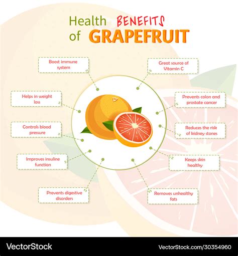 Health benefits grapefruit grapefruits Royalty Free Vector