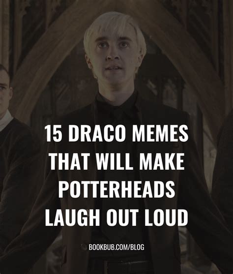 15 Draco Memes Guaranteed to Make Potterheads Laugh Out Loud | Draco malfoy memes, Memes, Draco