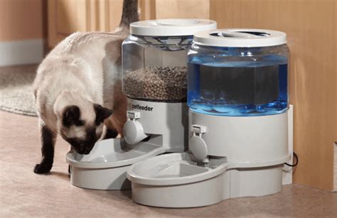 7 Best Automatic Cat Feeder Reviews (Updated 2018) | Pawsome Kitty