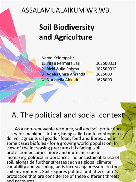 Soil Biodiversity 1 | PDF | Soil | Biodiversity