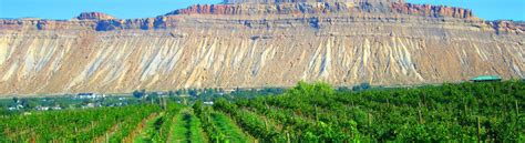 Palisade Wine Country - The Western Slope’s Hidden Treasure