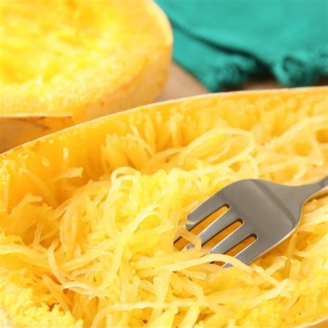 Vegetable Spaghetti Winter Squash Heirloom Seeds — Seed Nerds