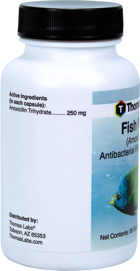 Thomas Labs Fish Mox Amoxicillin Antibacterial Fish Medication, 250 mg ...