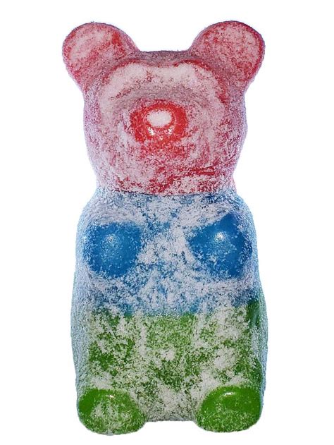 Amazon.com : The Gummy Bear Guy | World Famous Gummy Bears (TM) | Sour World's Largest Gummy ...