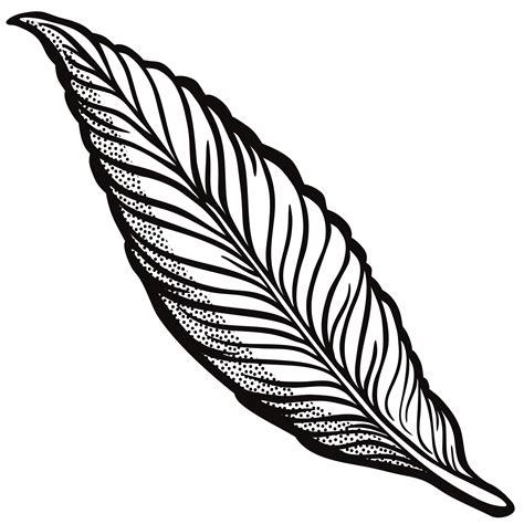 feather - lineart by frankes | Feather, Image, Animals