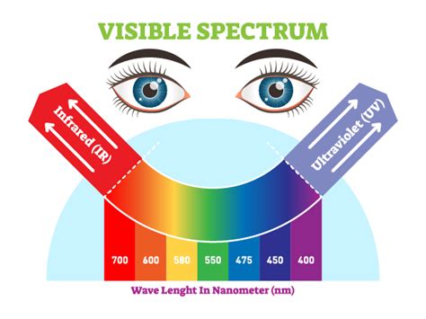 Far Infrared Technology: Therapeutic Benefits and Applications ...