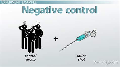 Negative Control Group | Definition & Examples - Lesson | Study.com