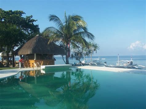 Philippines tourist destination: Balicasag island resort in Panglao ...