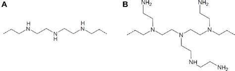 Structure of linear PEI (A) and branched PEI (B). Note: Reproduced... | Download Scientific Diagram