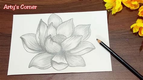 How to Draw Lotus Flower | Pencil Shading Step by Step | Easy Flower Drawing by Arty's Corner ...