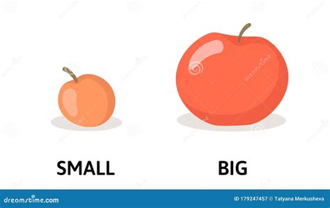 Words Small and Big Flashcard with Cartoon Red Apple. Opposite ...