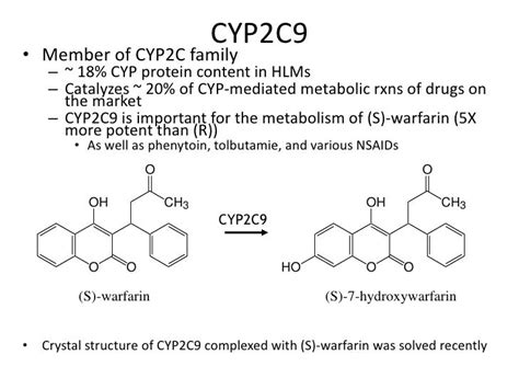 CYP2C9 Haplotype Structure and Association with Clinical Outcomes