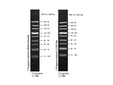 Ultra Low Range DNA Ladder - Thermo Fisher Scientific