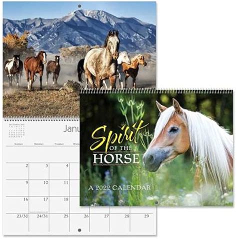 Amazon.com: horse calendar