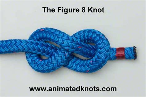 Figure 8 Double Loop | How to tie the Figure 8 Double Loop