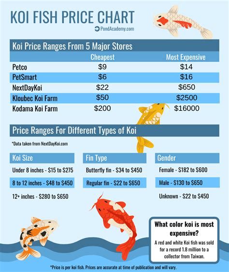 How Much Is a Koi Fish? (Koi Fish Price Chart) | Koi fish care, Koi fish prices, Koi fish