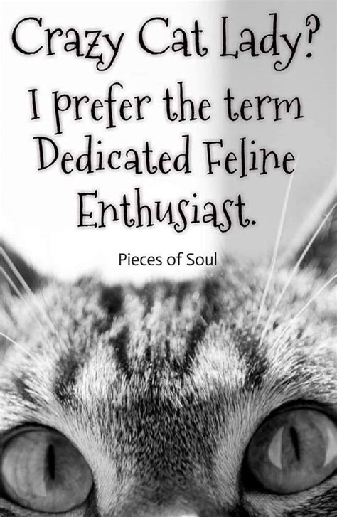 Cat Quotes, Animal Quotes, Animal Memes, Crazy Cat Lady, Crazy Cats ...