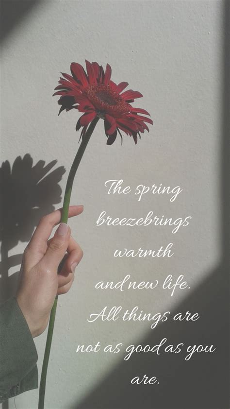 love Quote | Spring breeze, Love quotes, New life