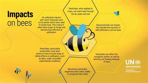 Bees Play a Vital Role in Ecosystems as Pollinators. – Nature Blog Network