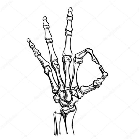 Vector Skeleton Hand Showing Gesture Isolated White Background — Stock Vector © filkusto #188252324