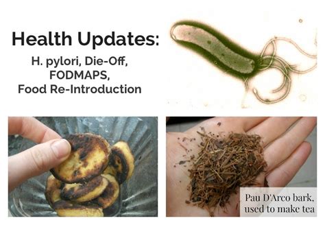 Health Updates: H. Pylori, FODMAP intolerance, Die Off - Empowered ...