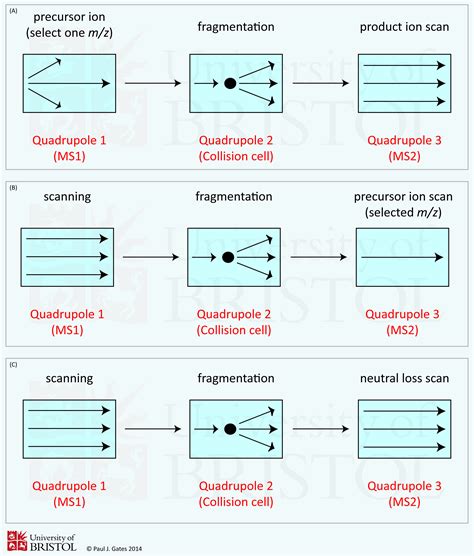 Mass Spectrometry Facility | Tandem MS