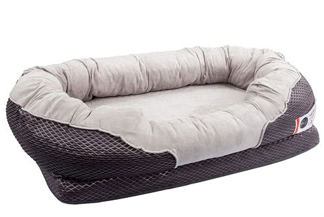 The Best Orthopedic Dog Beds for Joint Pain and Arthritis - Veterinarians.org