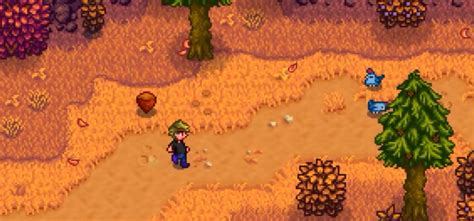 Where Do You Find Hazelnuts in Stardew Valley? – FandomSpot