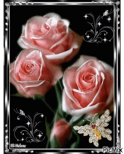 Three pink roses. | Pink roses, Rose, Good morning beautiful flowers