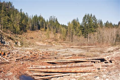 Toward Business Unusual: How Companies, Governments, and NGOs Are Taking on Deforestation | HuffPost