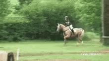Running Horse GIF - Running Horse - GIF 탐색 및 공유