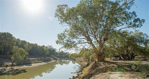 UPDATED: Wilcannia community to blockade bridge and save the Darling (Barka) River demanding ...