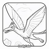 Free Printable Kangaroo coloring Pages sketch template