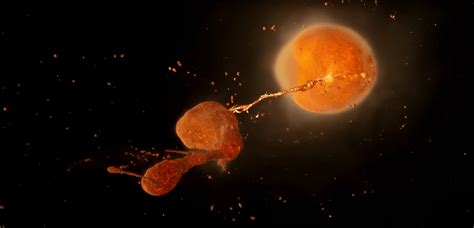 Wild simulations of cosmic collisions show the Moon forming in just hours