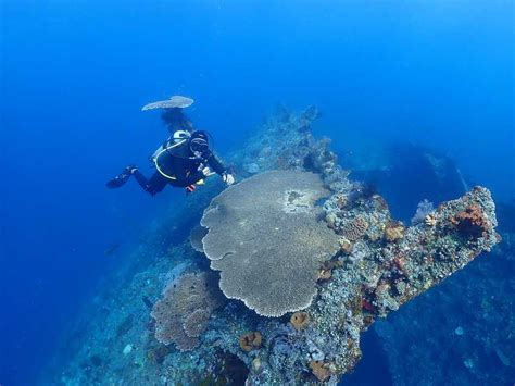 Discover Scuba Diving - Tulamben Diving (Beginner)