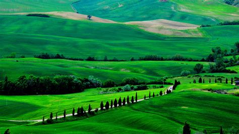 Italia, Toscana, paisaje de primavera, campos, carreteras, árboles ...