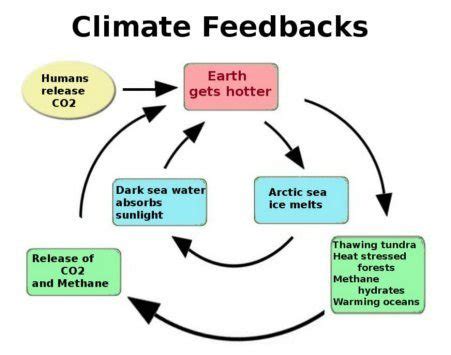 Climate change feedback loop illustration... | Download Scientific Diagram