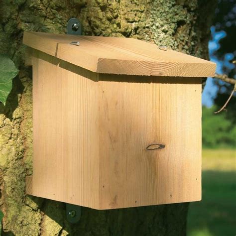 Timber Dormouse Nesting Box