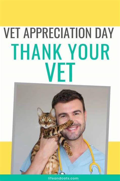 Veterinary Appreciation Day Ideas - Life & Cats